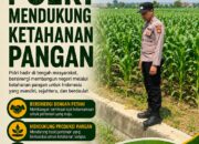 Polri Dukung Astacita, Polsek Merakurak Polres Tuban Turun Cek Tanaman Jagung Warga di Desa Tuwiri Wetan