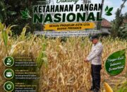 Polri Dukung Astacita, Polsek Semanding Polresta Tuban Turun Cek Tanaman jagung milik Warga di Desa Jadi