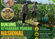 Polri Dukung Astacita, Polsek Rengel Polresta Tuban Turun Cek Tanaman Jagung Warga di Desa Sawahan