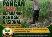 Ketahanan Pangan, Polri Hadir Dukung Swasembada Pangan Nasional