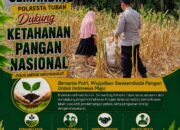 Polri Dukung Astacita, Polsek Semanding Polresta Tuban Turun Cek Tanaman jagung milik Warga di Desa Jadi