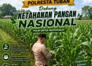 Polri dukung progam Astacita, Polsek Jatirogo Polresta Tuban Turun Cek Tanaman jagung Warga di Desa Sidomulyo