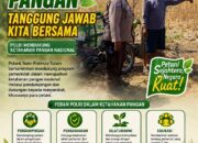 Polsek Soko Polresta Tuban Turun Langsung Cek Tanaman Jagung Warga