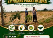 Bhabinkamtibmas Desa Margorejo Dampingi Petani Olah Lahan Pertanian