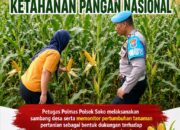 Polsek Soko Polresta Tuban Turun Langsung Cek Tanaman Jagung Warga