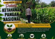 Polri Dukung Astacita, Polsek Semanding Polresta Tuban Turun Cek Tanaman jagung milik Warga di Desa Ngino