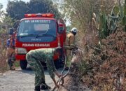Babinsa Taman Sari Sigap Tangani Kebakaran Lahan Kebun