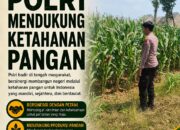 POLSEK TUBAN DUKUNG KETAHANAN PANGAN MELALUI PEMANFAATAN LAHAN PERTANIAN