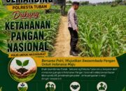 Polri Dukung Astacita, Polsek Semanding Polresta Tuban Turun Cek Tanaman jagung milik Warga di Desa Tegalagung