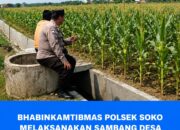Polsek Soko Polresta Tuban Turun Langsung Cek Tanaman Jagung Warga