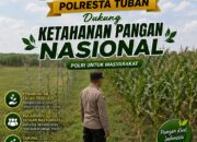 Dukung Astacita Swasembada Pangan, Polsek Jatirogo Pantau Lahan Jagung di Desa Wangi