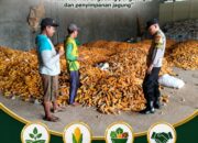 “PANTAU GUDANG PENGERINGAN DAN PENYIMPANAN JAGUNG, ANGGOTA POLSEK KEREK DUKUNG KETAHANAN PANGAN”