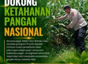 Polsek Tuban Dukung Ketahanan Pangan Nasional, Pantau Langsung Lahan Jagung Warga