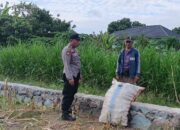 Sinergi Polsek Labuapi dan Petani Lombok Barat: Dorong Kemandirian Pangan Nasional dari Tingkat Desa
