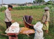 Sinergi Keamanan dan Pertanian, Bhabinkamtibmas Polsek Labuapi Kawal Ketahanan Pangan di Lombok Barat