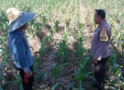 Wujudkan Ketahanan Pangan Nasional, Polsek Labuapi Dorong Warga Manfaatkan Lahan Pekarangan