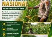 Polsek Soko Polresta Tuban Turun Langsung Cek Tanaman Jagung Warga