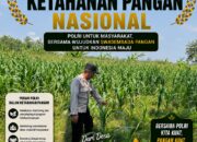 Polsek Bangilan Dukung Ketahanan Pangan Nasional Melalui Monitoring Tanaman Jagung