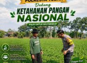 Dukung Astacita, Polsek Palang Polresta Tuban Pantau Langsung Lahan Jagung milik warga Desa Wangun
