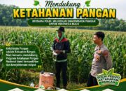 Anggota Bhabinkamtibmas Polsek Senori Polresta Tuban Membantu Proses Pemupukan Jagung Warga Desa Jatisari