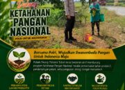 Dukung Astacita, Polsek Palang Polresta Tuban Pantau Langsung Lahan Jagung milik warga Desa Wangun