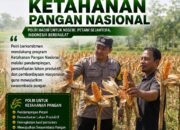 Polri Dukung Astacita, Polsek Rengel Polresta Tuban Turun Cek Tanaman Jagung Warga di Desa Rengel