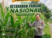 Dukung Astacita, Polsek Palang Polresta Tuban Pantau Langsung Lahan Jagung milik warga Desa Tasikmadu