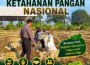 Polri Dukung Astacita, Polsek Semanding Polresta Tuban Turun Cek Tanaman jagung milik Warga di Desa Semanding