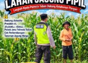 Polri Dukung Astacita, Polsek jenu Polres Tuban Turun Cek Tanaman Jagung Warga di Desa Jenu