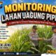 Polri Dukung Astacita, Polsek jenu Polres Tuban Turun Cek Tanaman Jagung Warga di Desa mentoso