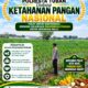 Polri Dukung Astacita, Polsek Semanding Polresta Tuban Turun Cek Tanaman jagung milik Warga di Desa Tegalagung