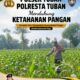DUKUNG KETAHANAN PANGAN, ANGGOTA POLSEK PARENGAN POLRESTA TUBAN LAKSANAKAN SAMBANG DAN PENDAMPINGAN PANEN JAGUNG DI DESA SENDANGREJO KEC. PARENGAN