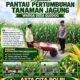 Dukung Astacita, Polsek Palang Polresta Tuban Pantau Langsung Lahan Jagung milik warga Desa Glodog
