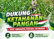 Dukung Asta Cita, Polsek Jatirogo Turun Langsung Pantau Ladang Jagung Warga Desa Ketodan