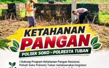 Polsek Soko Polresta Tuban Turun Langsung Cek Tanaman Jagung Warga