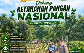 Polri Dukung Astacita, Polsek Rengel Polresta Tuban Turun Cek Tanaman Jagung Warga di Desa Rengel