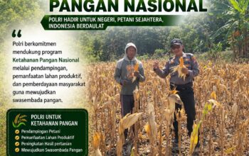 DUKUNG KETAHANAN PANGAN, ANGGOTA POLSEK PARENGAN POLRESTA TUBAN LAKSANAKAN SAMBANG DAN PENDAMPINGAN PANEN JAGUNG DI DESA SELOGABUS KEC. PARENGAN