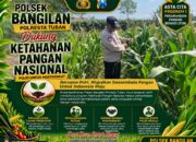 Dukung Ketahanan Pangan Nasional, Polsek Bangilan Aktif Dampingi Petani Jagung