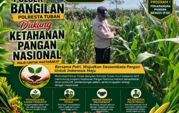 Dukung Ketahanan Pangan Nasional, Polsek Bangilan Aktif Dampingi Petani Jagung