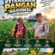 Polsek Plumpang Polresta Tuban Turun Langsung Cek Tanaman Jagung Warga