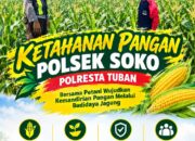 Polsek Soko Polresta Tuban Turun Langsung Cek Tanaman Jagung Warga