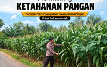 Polsek Tuban Pantau Lahan Jagung Warga, Dukung Ketahanan Pangan Berkelanjutan