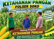 Polsek Soko Polresta Tuban Turun Langsung Cek Tanaman Jagung Warga