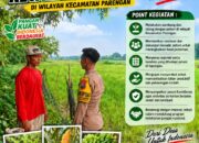 Bhabinkamtibmas Desa Cengkong Laksanakan Patroli Ketahanan Pangan di Desa Binaan