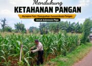 Polsek Tuban Pantau Lahan Jagung, Dukung Ketahanan Pangan Nasional