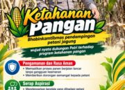 Mendukung Program Ketahanan Pangan, Bhabinkamtibmas Monitoring Pertumbuhan Jagung