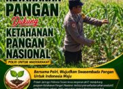 Dukung Astacita, Polsek Jatirogo Cek Langsung Ladang Jagung Warga Desa Demit