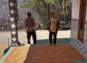 Polri Dukung Astacita, Polsek Grabagan Polresta Tuban Turun Cek Tanaman jagung milik Warga di Desa Grabagan