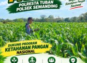 Polri Dukung Astacita, Polsek Semanding Polresta Tuban Turun Cek Tanaman jagung milik Warga di Desa Sambongrejo