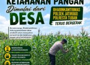 Polsek Jatirogo Turun ke Lahan produktif Desa Jatiklabang Wujudkan Dukungan Astacita Swasembada Pangan